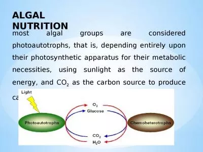 most algal groups are considered photoautotrophs, that