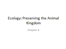 Ecology: Preserving the Animal Kingdom