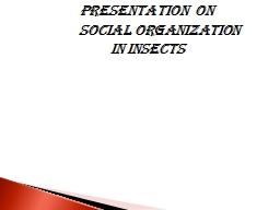 PRESENTATION  ON         SOCIAL ORGANIZATION