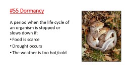 #55 Dormancy A period when the life cycle of an organism is stopped or slows down if: