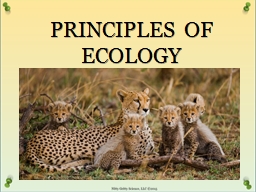 PPT-PRINCIPLES OF ECOLOGY NUTRITION AND ENERGY