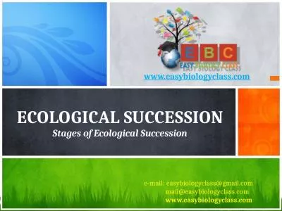 Ecological Succession Stages of Ecological Succession