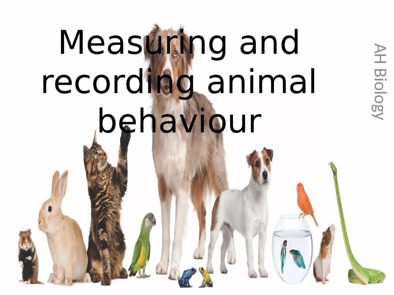 PPT-Measuring and recording animal behaviour