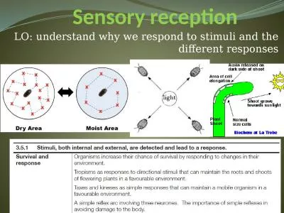 Sensory reception LO: understand why we respond to stimuli and the different responses