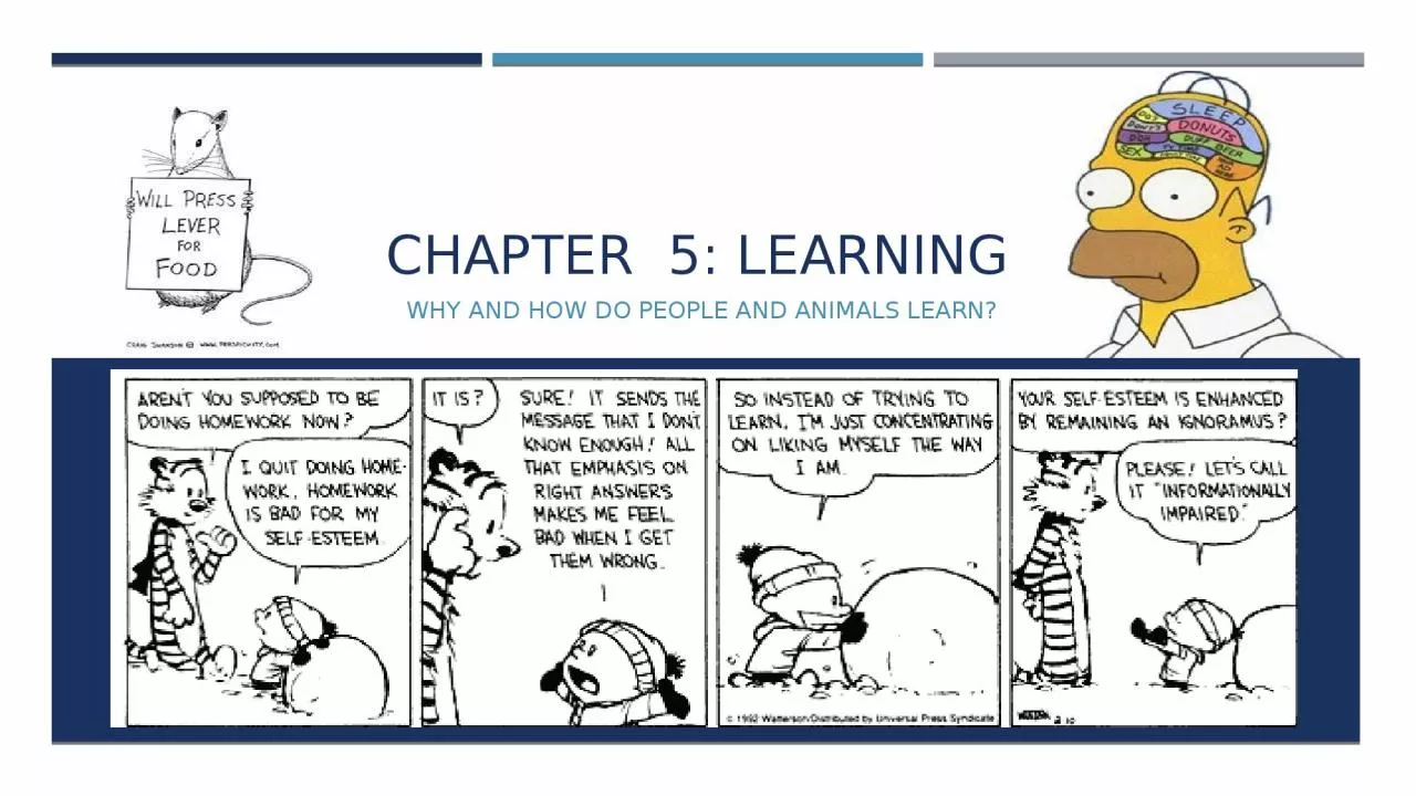 PPT-Chapter 5: Learning Why and how do people and animals learn?