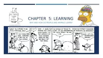 Chapter  5: Learning  Why and how do people and animals learn?