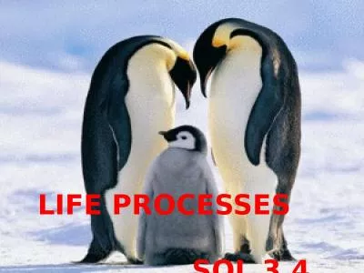 Life Processes        SOL 3.4