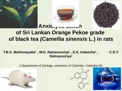 Anxiolytic  action  of Sri Lankan Orange Pekoe grade