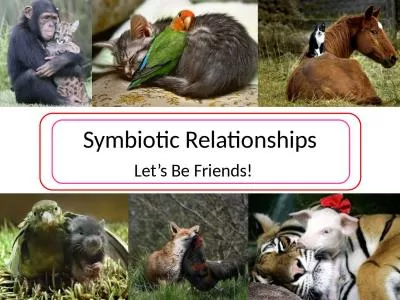 Symbiotic Relationships Let’s Be Friends!