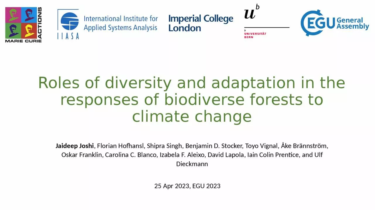 Roles of diversity and adaptation in the responses of biodiverse forests to climate change