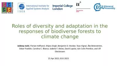 Roles of diversity and adaptation in the responses of biodiverse forests to climate change