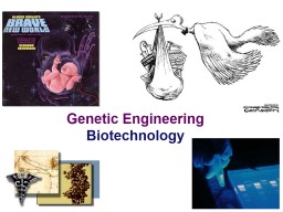 2006-2007 Genetic Engineering