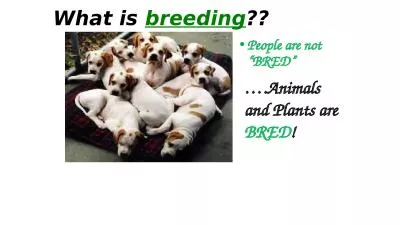 What is  breeding ?? People are not “