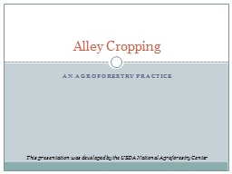 An Agroforestry Practice