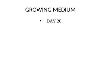 GROWING MEDIUM     DAY 20