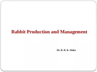 Rabbit Production and Management