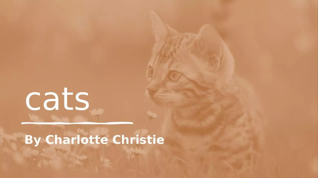 cats By Charlotte Christie