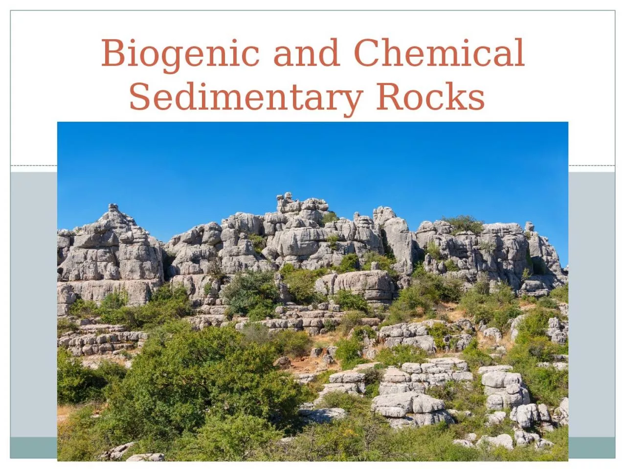 PPT-UNIT 3 Biogenic and Chemical Sedimentary Rocks