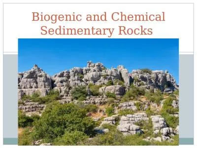 UNIT 3 Biogenic and Chemical Sedimentary Rocks