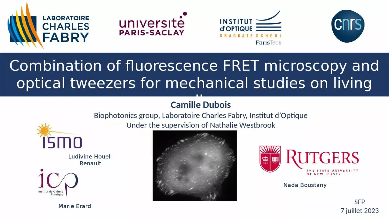 PPT-Combination of fluorescence FRET microscopy and optical tweezers for mechanical studies