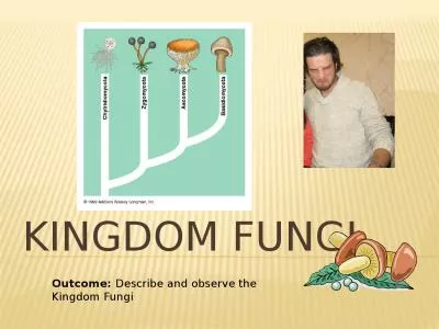 Kingdom Fungi Outcome:  Describe and observe the Kingdom Fungi