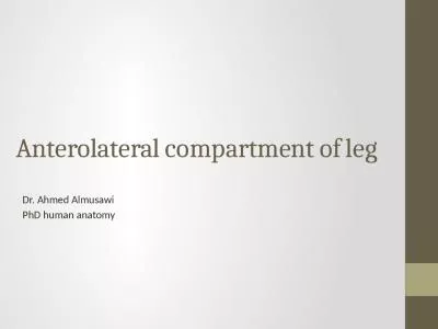 Anterolateral compartment of leg