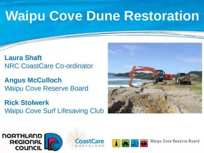 Waipu Cove Dune  Restoration