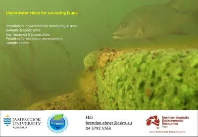 Underwater video for surveying fauna