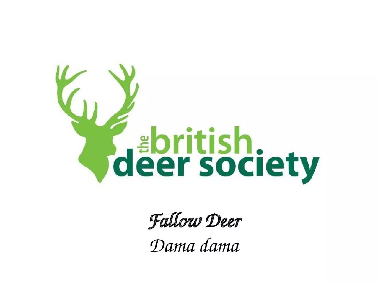 PPT-Fallow Deer Dama dama There are six species of wild deer in the British Isles.