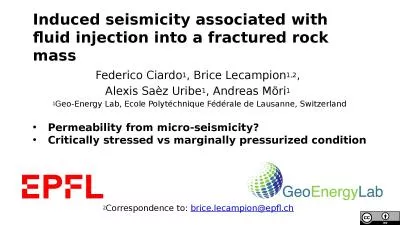 Induced seismicity associated with fluid injection into a fractured rock mass