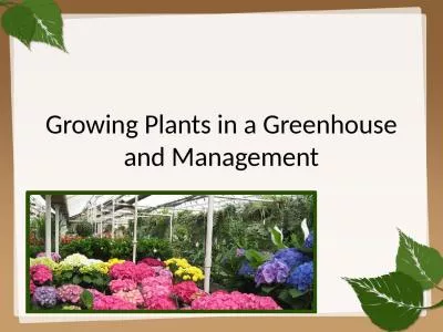Growing Plants in a Greenhouse and Management