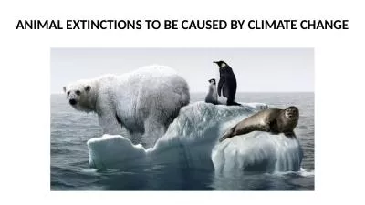 ANIMAL EXTINCTIONS TO BE CAUSED BY CLIMATE CHANGE