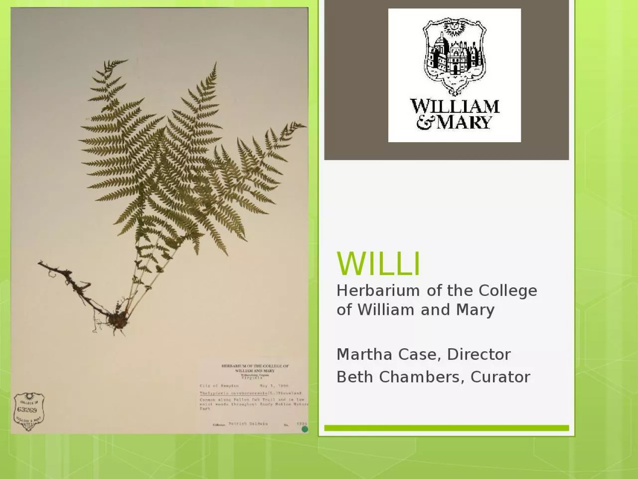 PPT-WILLI Herbarium of the College of William and Mary