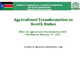 Agricultural Transformation in South Sudan