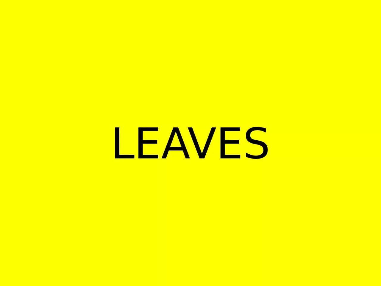 PPT-LEAVES Coniferous VS Deciduous