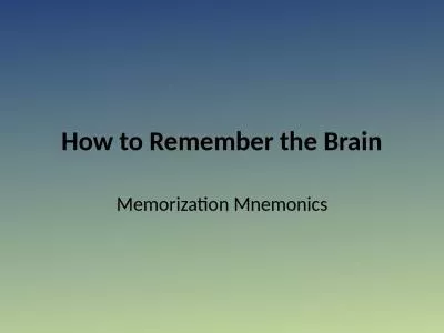 How to Remember the Brain