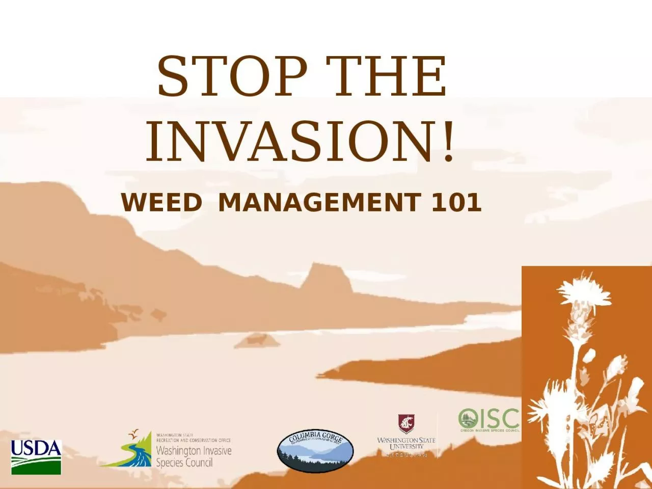 PPT-STOP THE INVASION! WEED