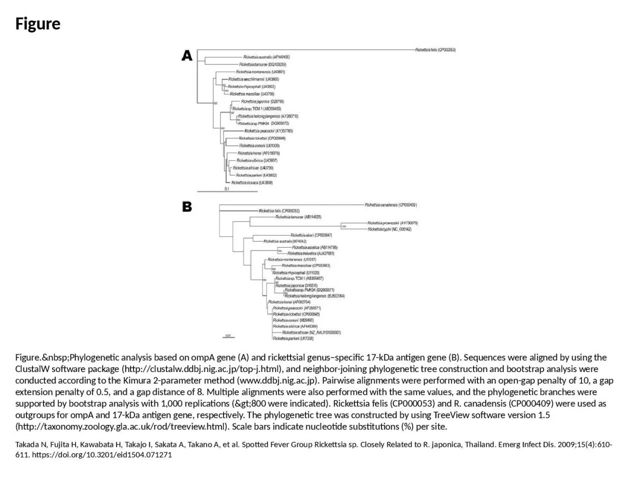 PPT-Figure Figure.&nbsp;Phylogenetic analysis based on ompA gene (A) and rickettsial genus–specif