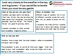 PPT-Where do Woodlice live? Different types of woodlice live in a lot of different countries