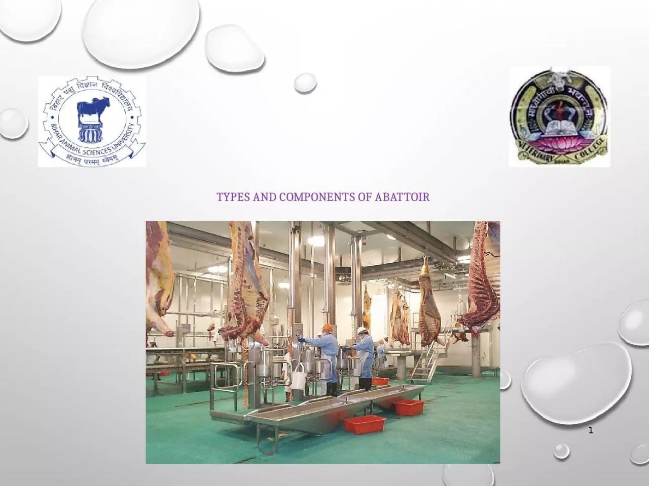 PPT-types and components of abattoir