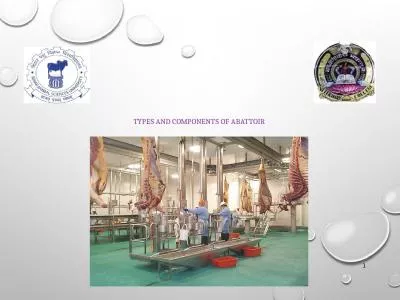 types and components of abattoir