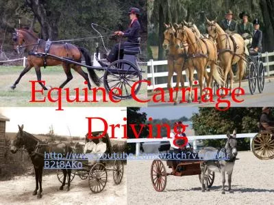 Equine Carriage Driving http://www.youtube.com/watch?v=OWLrB2t8AKo