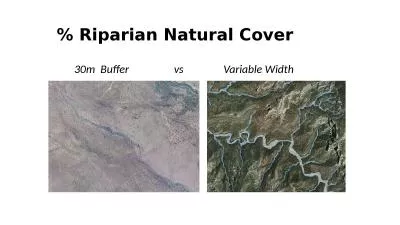 % Riparian Natural Cover