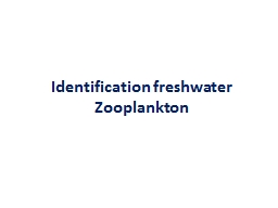 Identification  freshwater Zooplankton