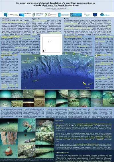 Biological and geomorphological description of a prominent escarpment along