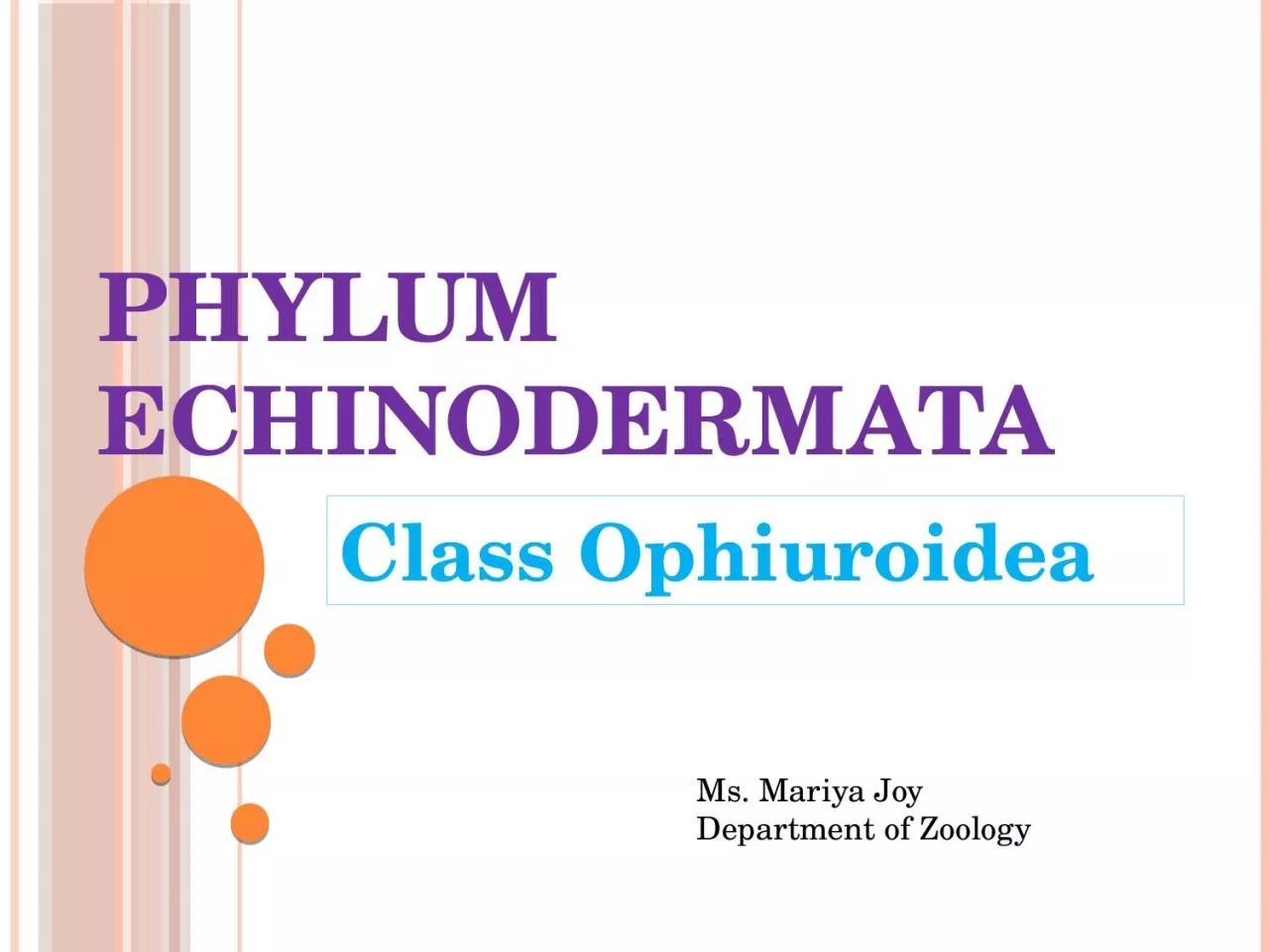 Phylum  echinodermata Class