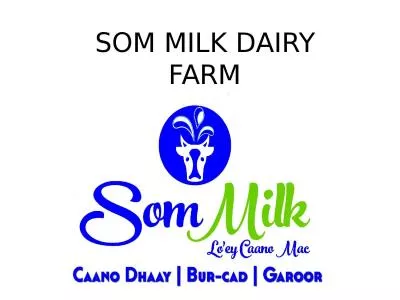 SOM MILK DAIRY FARM Company Information and Contact Details