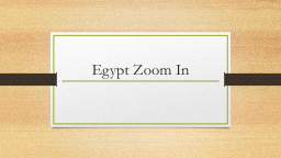 PPT-Egypt Zoom In Question What do you see in this image? List as many details as you can.