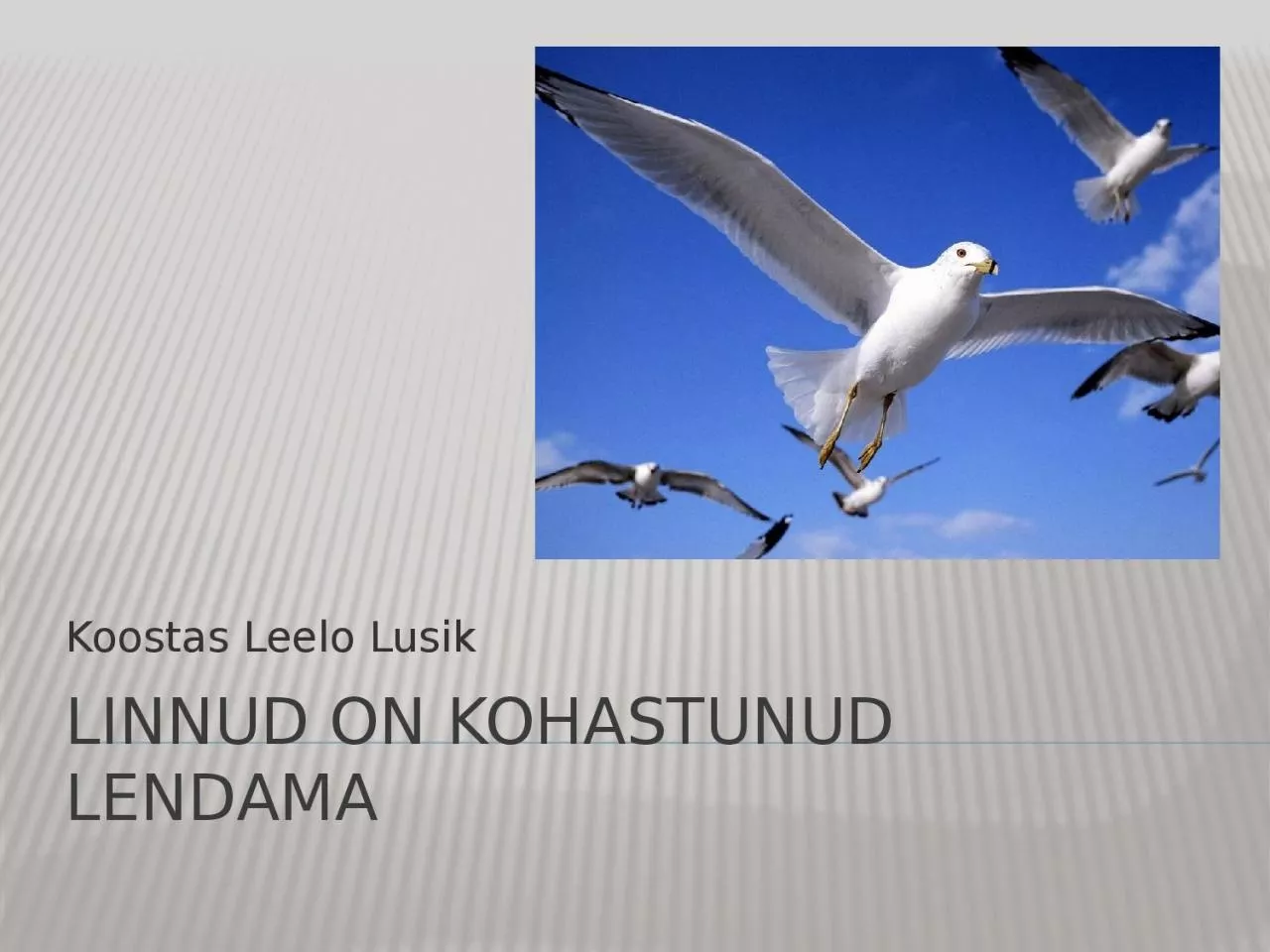 PPT-LINNUD ON KOHASTUNUD LENDAMA