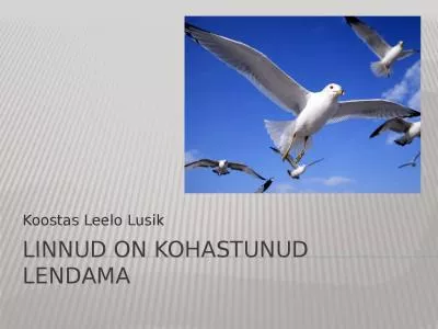 LINNUD ON KOHASTUNUD LENDAMA